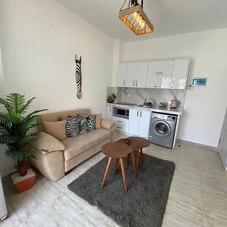 Elegant And Welcoming One Bedroom Apartment